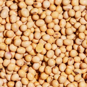 Buy  Organic Soya beans