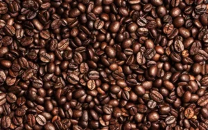 buy Cofee Beans